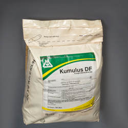 Micronized Sulfur Fungicide/Miticide (Acoidal or Microthiol Brands)