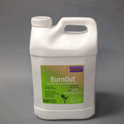 BurnOut Natural Non-Selective Weed and Grass Killer (Bonide)