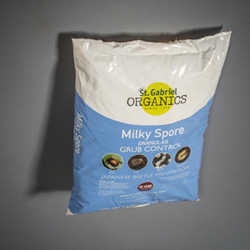 tips on applying milky spore powder tips on applying milky spore powder