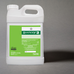 Rhapsody Bacillus Subtilis Strain QST 713, Liquid Bio-Fungicide